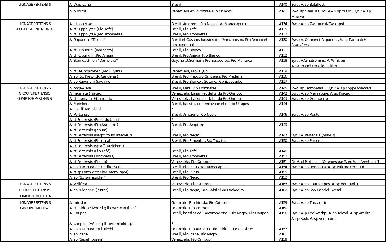 Table apistogrammas 5