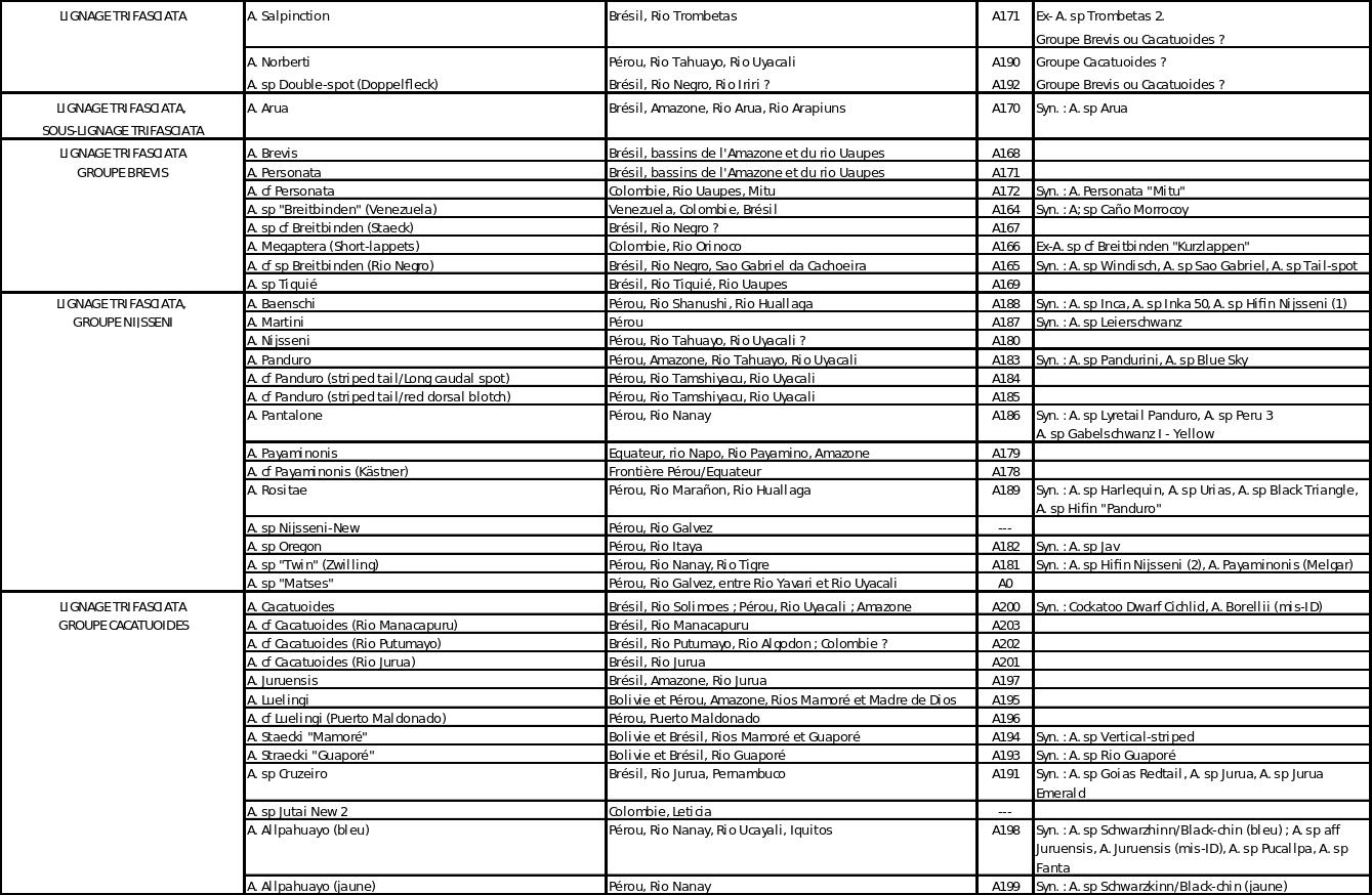 Table apistogrammas 6