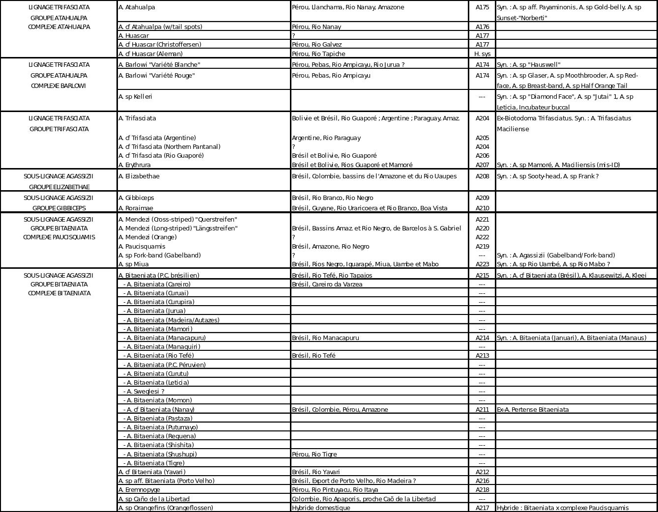 Table apistogrammas 7