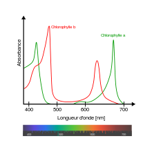 Spectre de la Chlorophylle a et b