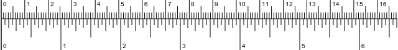 Taille du Mastacembelus erythrotaenia