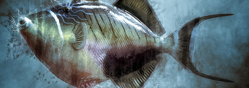Pathologies des poissons d'ornement