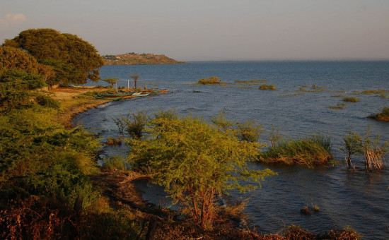 lac victoria noir