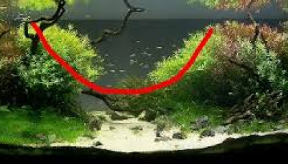 aquascaping concave