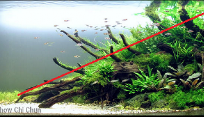 aquascaping composition triangle