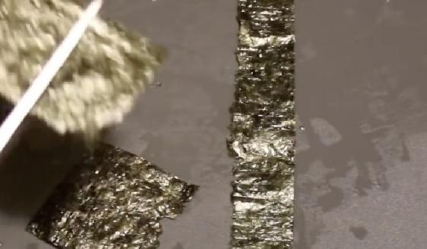 Algue nori pour poissons