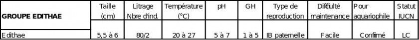 Groupe Edithae