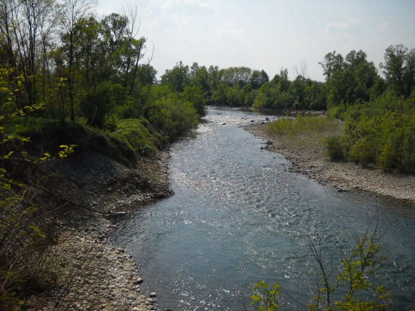 Habitat-type du B. Nuhulon