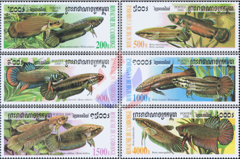 timbres betta