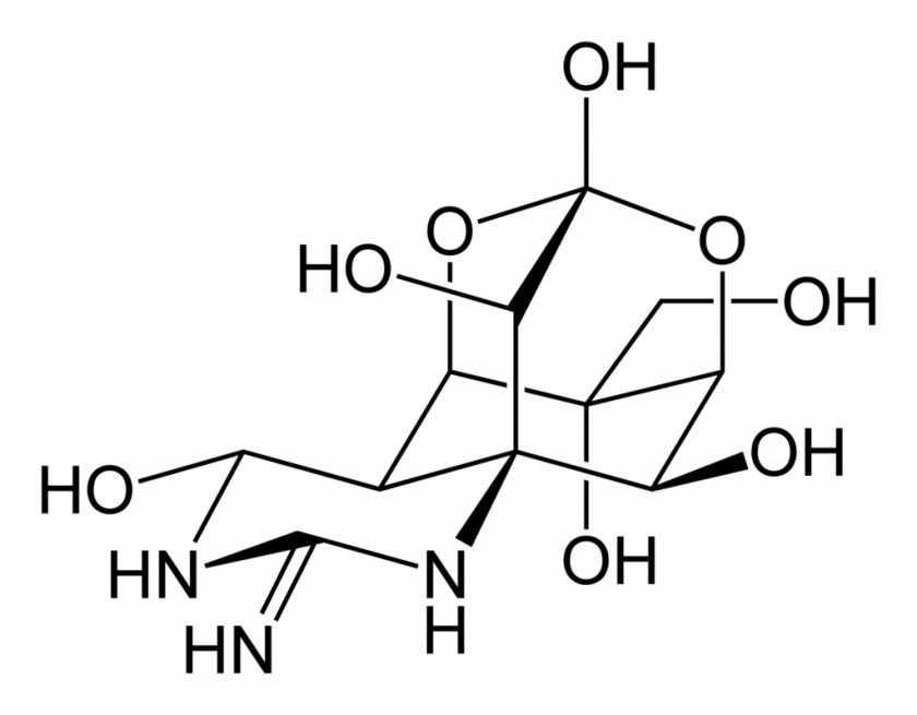 Tetrodotoxine ou TTX