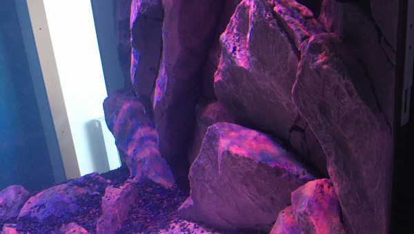 Couché de soleil ☀️