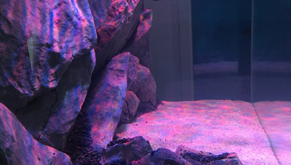 Couché de soleil ☀️