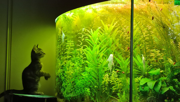 Quand Movie explore sa nouvelle maison...