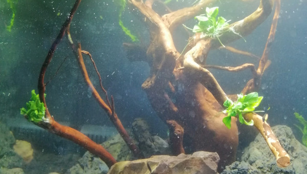 Installation terminée