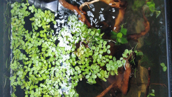 RePositionnement de la sortie du filtre