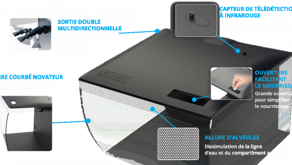 présentation du flex