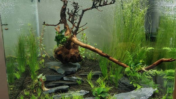 Mise en eau J+1 face