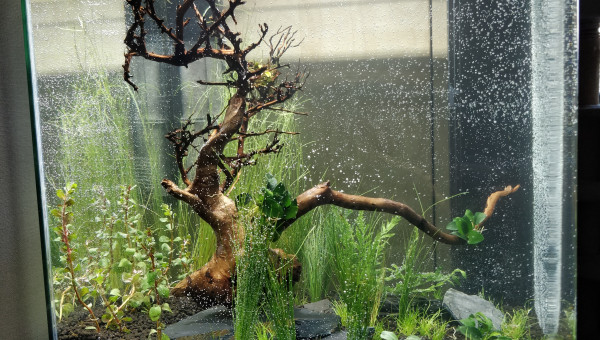 Mise en eau J+1 profil