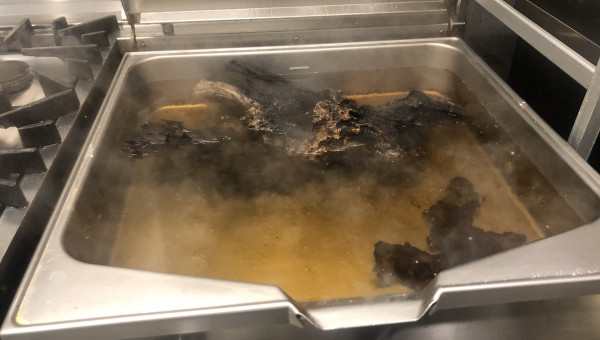 Racines et bois de mangroves