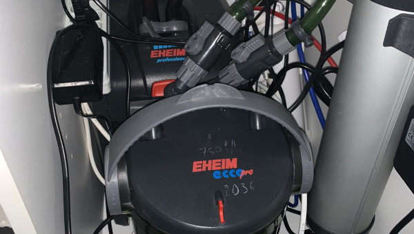 Filtration Pompes Eheim