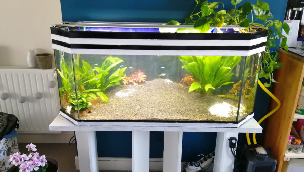 Bac 250L Amérique du Sud