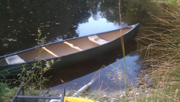 Comme tout le monde est au taquet ,ben moi aussi , changement d eau c est parti