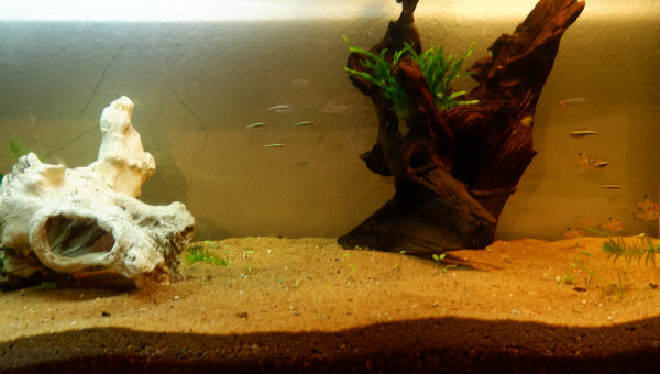 Changement dans mon 240 litres.