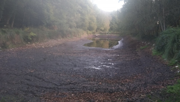 Je vais finir par y arriver