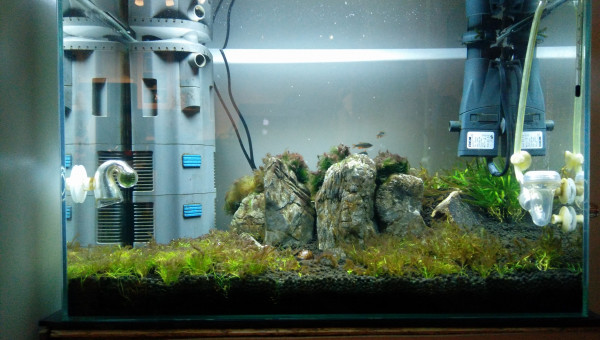 Presque 4 mois: BBA, parasites et trial & error