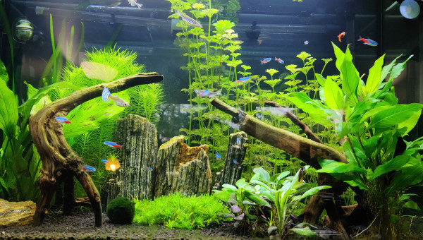 Photos du 29/09/2020