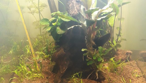 Nouvelle déco - Vivement la fin du cycle