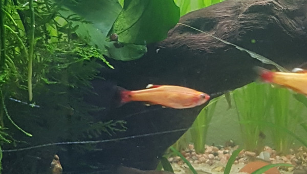 Le calme après la tempête...