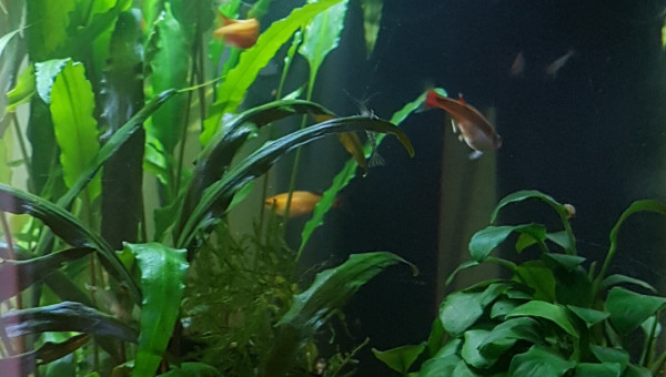 Le calme après la tempête...