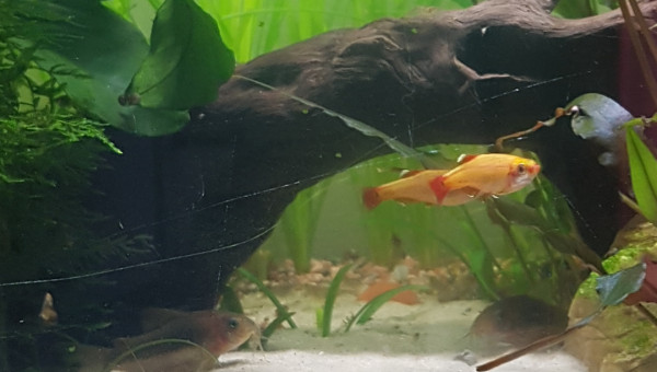 Le calme après la tempête...