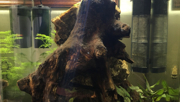 Ancienne configuration - Face