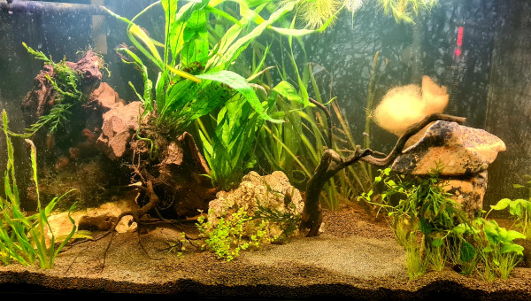 Dernière maj avant les poissons