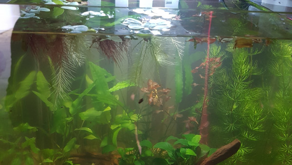 Petite évolution...