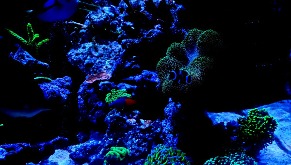 Petite évolution des couleurs