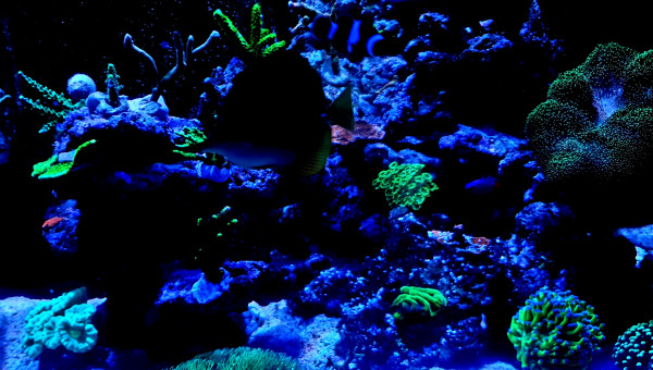 Petite évolution des couleurs