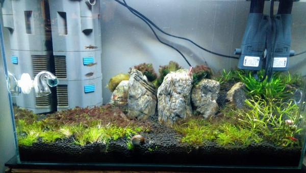 Les Trois Pucelles: symphony of destruction