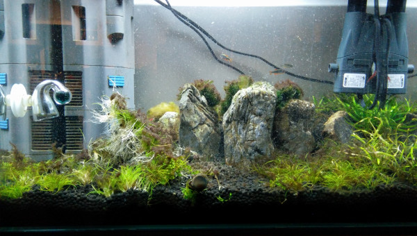 Les Trois Pucelles: symphony of destruction