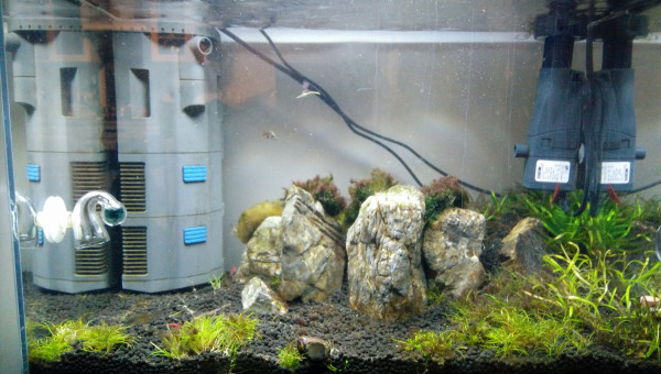 Les Trois Pucelles: symphony of destruction