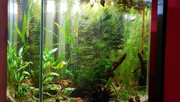 Lendemain de nettoyage