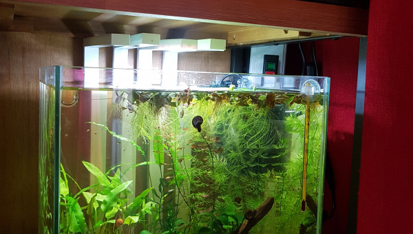 Lendemain de nettoyage