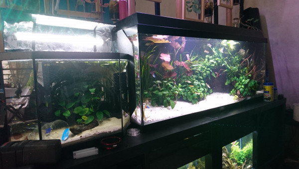 Maintenance + transfert