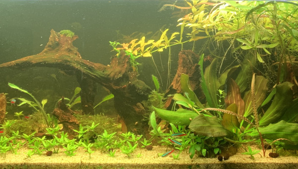 Octobre vue d’ensemble