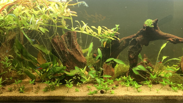 Octobre vue d’ensemble