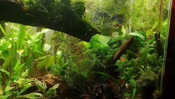 Petites photos du matin...