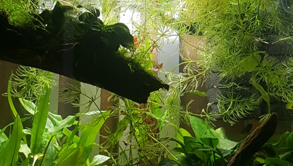 Petites photos du matin...