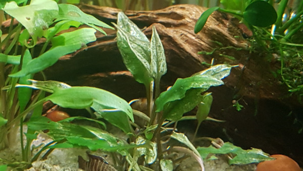 Petites photos du matin...